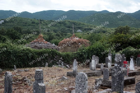 Europa, Osteuropa, Balkan. Montenegro, Skadar, See, Landschaft, Murici, Landwirtschaft, Friedhof,  