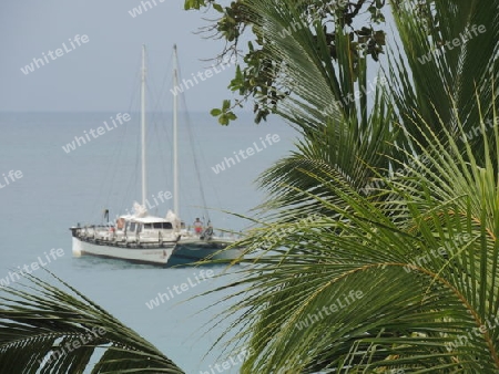 Katamaran  Seychellen