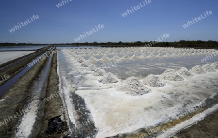 Ein Salzfeld zur gewinnung von Meersalz suedwestlich der Stadt Bangkok in Thailand in Suedostasien.