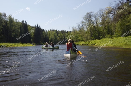 Kanu Fahren auf den Fluss Gauja in Sigulad oestlich von Riga der Hauptstadt von Lettland im Baltikum in Osteuropa.  