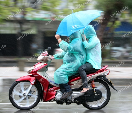 Eine Schwangere Frau auf Motorrad auf einer Strasse bei Regenwetter in Chiang Mai in der Provinz Chiang Mai im Norden von Thailand in Suedostasien.