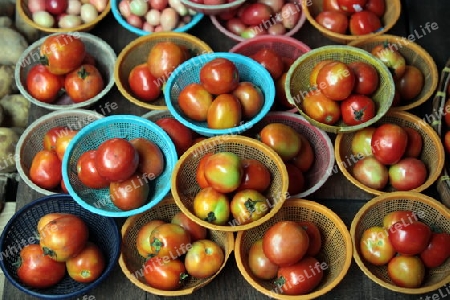 Tomaten auf dem Markt von Nonthaburi im Norden von Bangkok der Hauptstadt von Thailand in Suedostasien.  