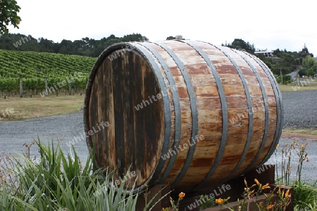 Wine barrel with vineyard