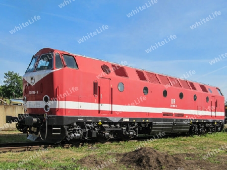 Diesellokomotive Typ 229 (1985)
