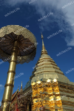 Der Chedi der Tempel Anlage des Wat Phra That Doi Suthep bei Chiang Mai in der Provinz Chiang Mai im Norden von Thailand in Suedostasien.
