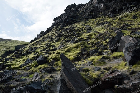 Der S?dwesten Islands, Obsidian-Lavafeld Laugahraun in Landmannalaugar