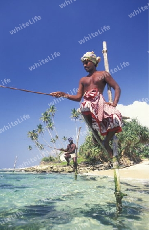 Asien, Indischer Ozean, Sri Lanka,
Traditionelle Fischer sogenannte Stelzenfischer beim Fischen in der naehe des Kuestendorf Ahangama an der Suedkueste von Sri Lanka. (URS FLUEELER)






