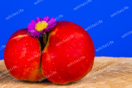 Apfel mit blume