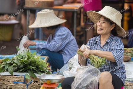 fegetable at the morning Market in Nothaburi in the north of city of Bangkok in Thailand in Southeastasia.