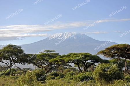 Kilimandscharo 