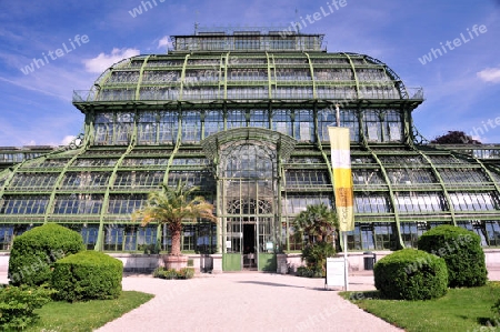 Palmenhaus in Wien