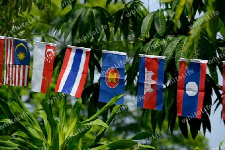 Flags of the ASEAN Nations in the Town of Ko PhiPhi on Ko Phi Phi Island outside of the City of Krabi on the Andaman Sea in the south of Thailand. 