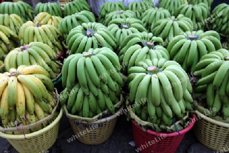Bananen auf dem Pak Khlong Markt von Bangkok der Hauptstadt von Thailand in Suedostasien.