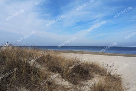 Strandüne an der Ostsee