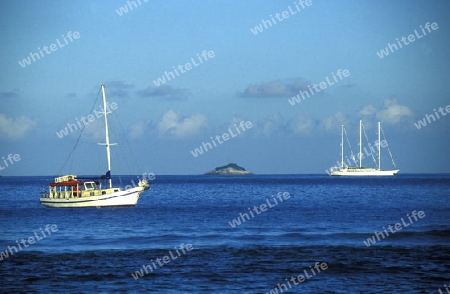  Die Kueste an der Insel La Diegue auf den Seychellen Inseln mit dem Meer des Indische Ozean. 