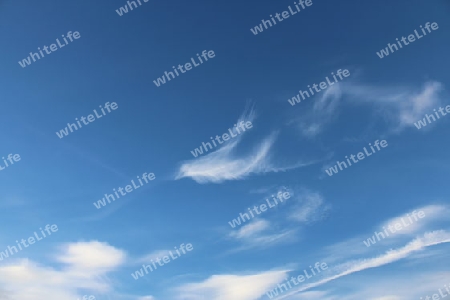 Wolken Vogel, Cloudbird