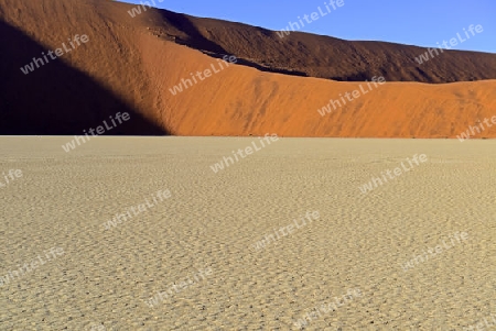 Weite , D?nen und Lehmboden des Deadvlei, Dead Vlei am Morgen des   Namib Naukluft Nationalpark, Sossusvlei, Namibia, Afrika