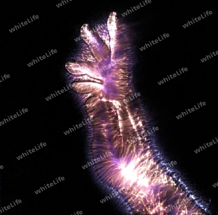 3D-Illustration of a glowing human male hand with a kirlian aura showing different symbols.