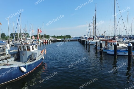 Fischereihafen und Marina in Travemünde