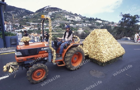 Ein Zwiebel Ernte Fest in Camacha auf der Insel Madeira im Atlantischen Ozean