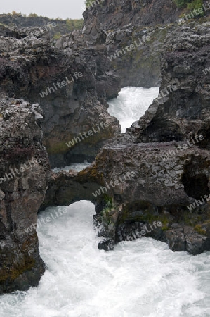 Der Westen Islands, der Flu? Hvit? mit dem Barnafoss-Wasserfall in der N?he von Reykholt 