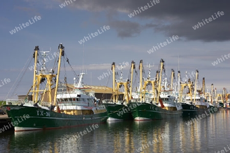 Hochsee Trawler Flotte im Hafen auf der Insel Texel