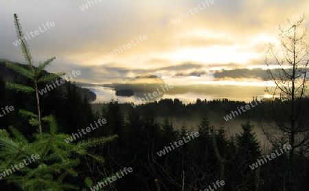 Misty Sunrise at Lake Cowichan