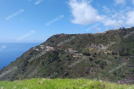 Landschaft mit Terrassenfeldern, Madeira